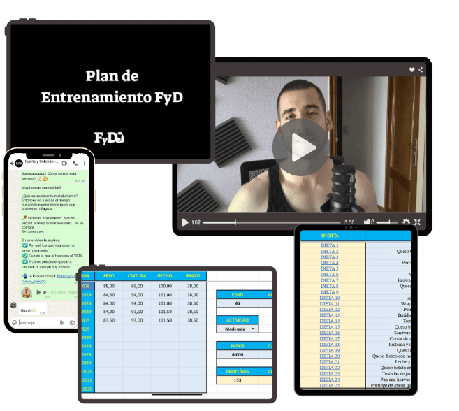 Programa de entrenamiento